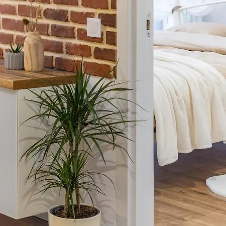 Modern Chic B&c * Cluj-Napoca