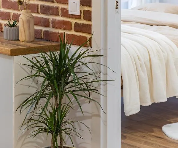 Modern Chic B&c * Kluž